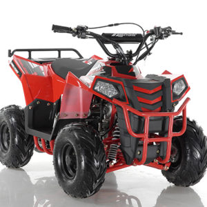 Apollo MINI COMMANDER 1+1 110CC - AUTO WITH REVERSE (HAND SHIFT) ATV available at Odenville Auto Parts & The Man Store – Your local dealer