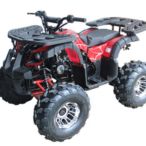Cougar Cycle RIDER-10 DLX 125cc Alloy Wheels ATV available at Odenville Auto Parts & The Man Store – Local ATV Dealer Alabama | 205.629.9111