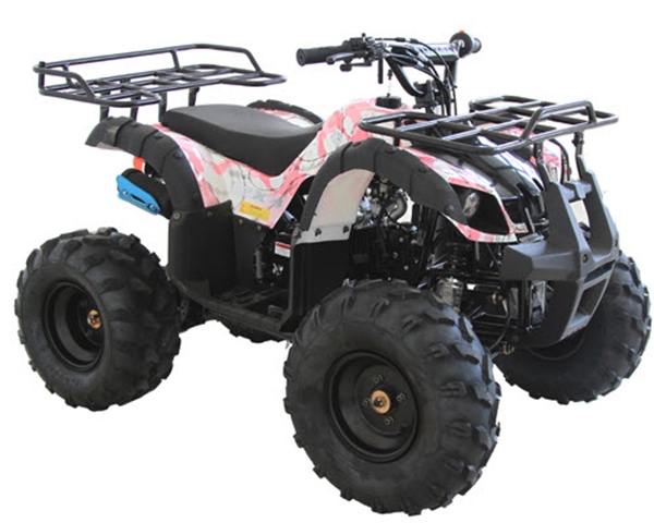 Cougar Cycle RIDER-9 125cc ATV - Odenville Auto Parts ...