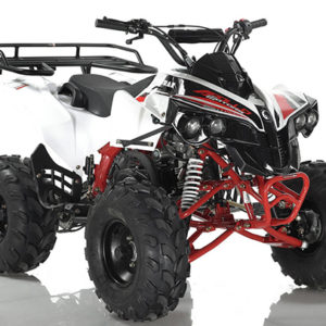 Apollo Sportrax 125cc ATV available at Odenville Auto Parts & The Man Store – Local Birmingham Gadsden ATV Dealer Alabama | 205.629.9111