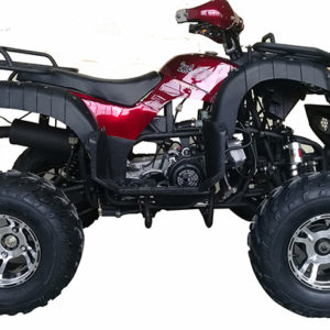 Cougar 200 UT-200 (169cc) ATV available at Odenville Auto Parts & The Man Store – Local Anniston Pell City ATV Dealer Alabama | 205.629.9111