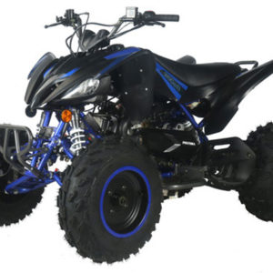Pentora 200 EFI ATV available at Odenville Auto Parts & The Man Store – Local Anniston Pell City ATV Dealer Alabama | 205.629.9111