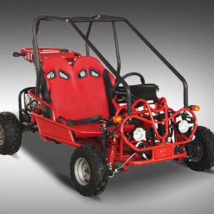 Mini Raptor 125cc Go Kart available at Odenville Auto Parts & The Man Store – Your local ATV & off-road vehicle dealer Alabama | 205.629.9111
