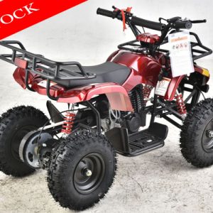 Mini-Hunter 40cc ATV available Odenville Auto Parts & The Man Store – Your local ATV & off-road vehicle dealer Alabama | 205.629.9111